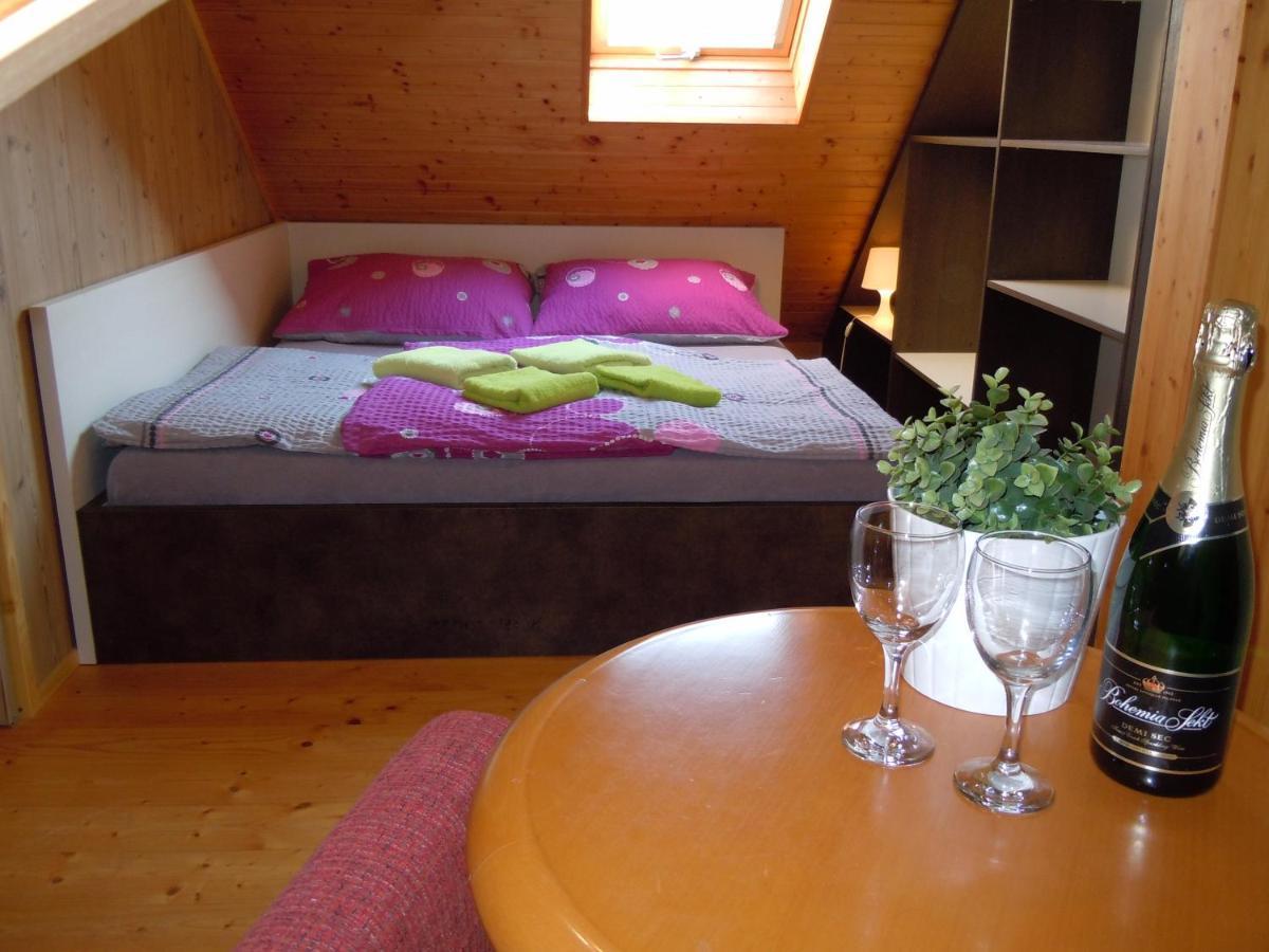 Vlčková Apartmán Vlckova